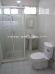 Emerald Hill Road (D9), Terrace #253330781